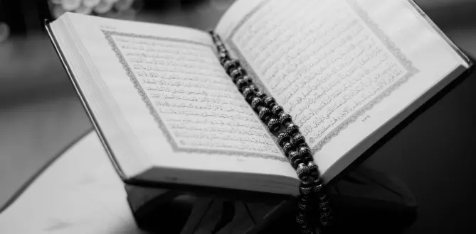 learn to read quran